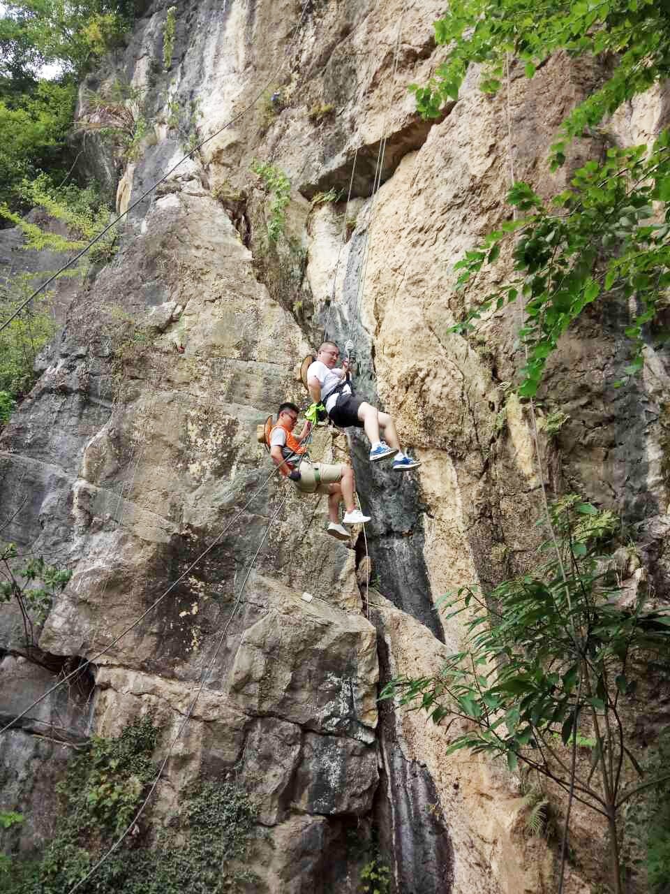 1593423333551151.jpg 下载6.jpg